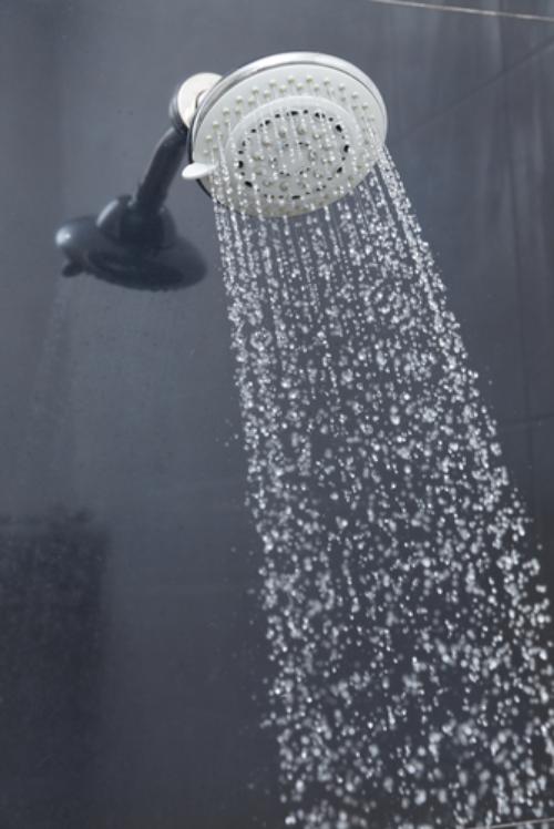 April Showers...Let's Talk Shower Heads